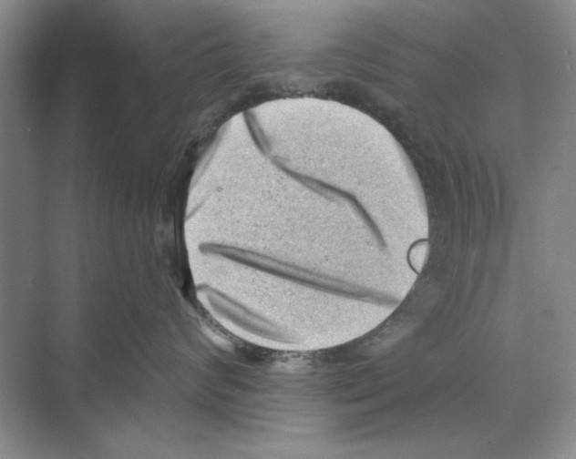 X0000068830624200606021644