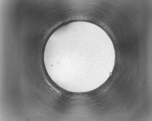 X0000068830625200606021643