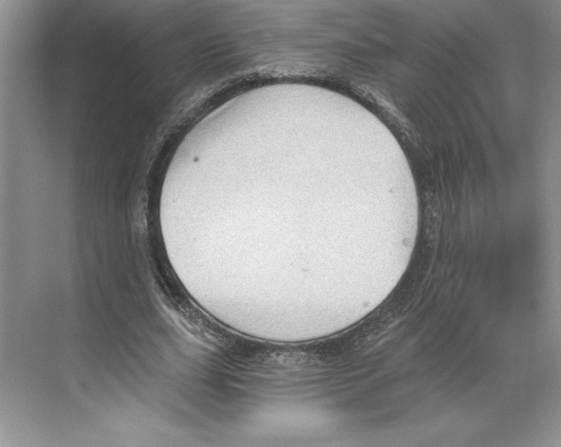 X0000068830631200606021644