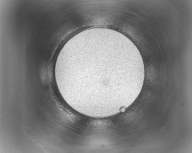 X0000068830632200606021644