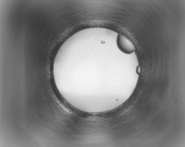 X0000068830633200606021644