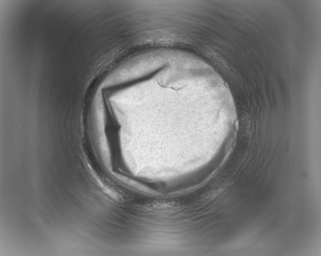 X0000068830638200606021644