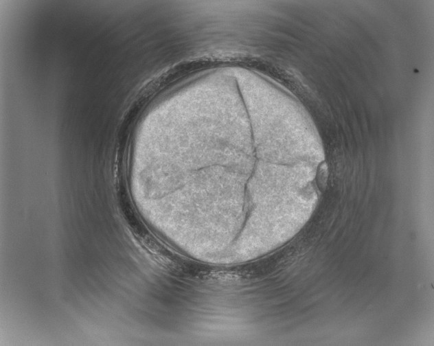 X0000068830640200606021644