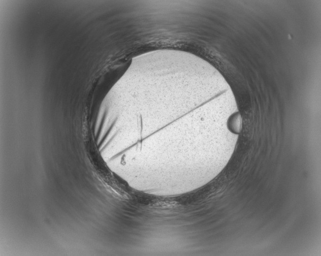 X0000068830642200606021644