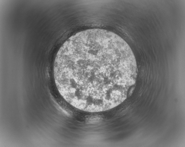 X0000068830643200606021644