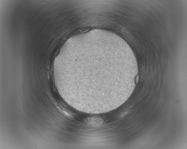 X0000068830644200606021644