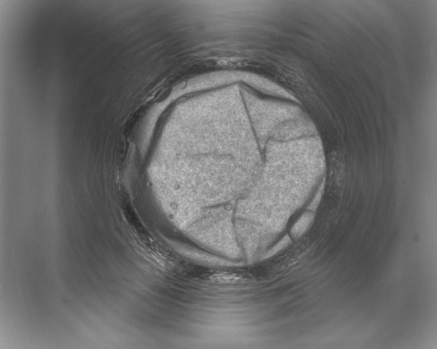 X0000068830650200606021644