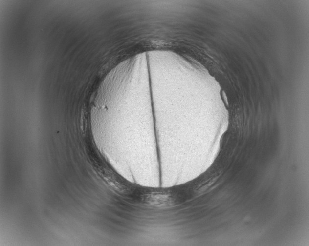 X0000068830651200606021644