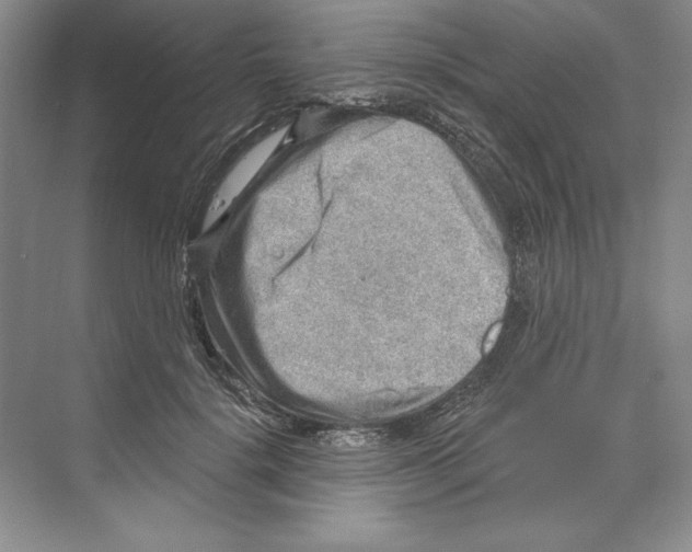 X0000068830652200606021644