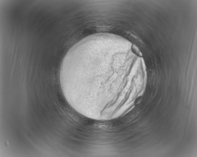 X0000068830655200606021644