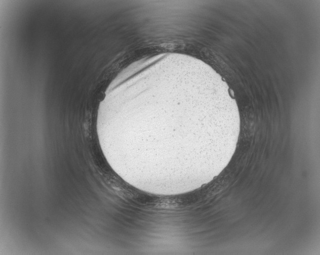 X0000068830656200606021644