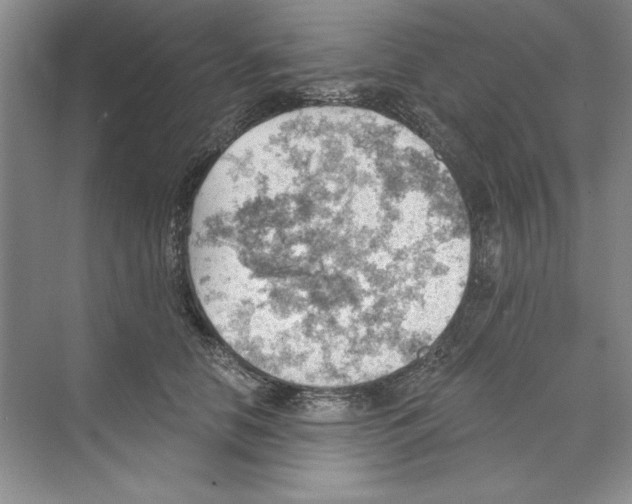 X0000068830658200606021644