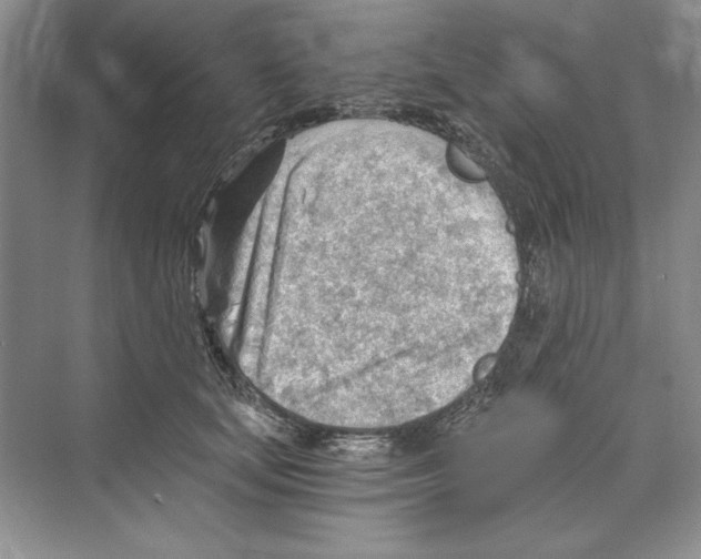 X0000068830659200606021644