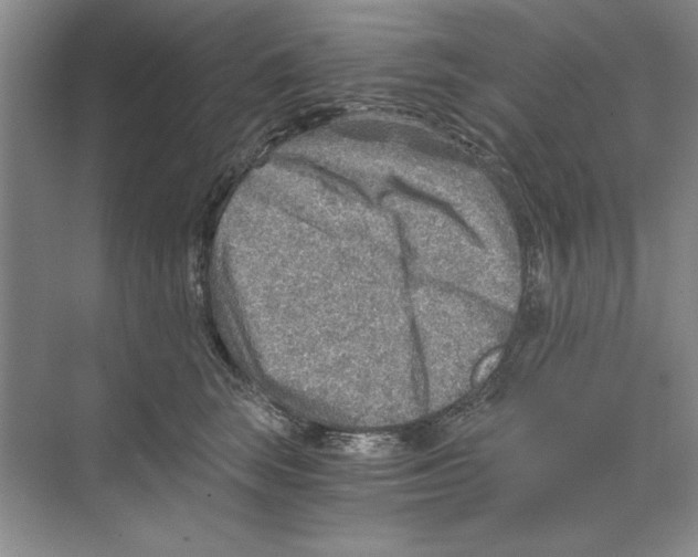 X0000068830663200606021644