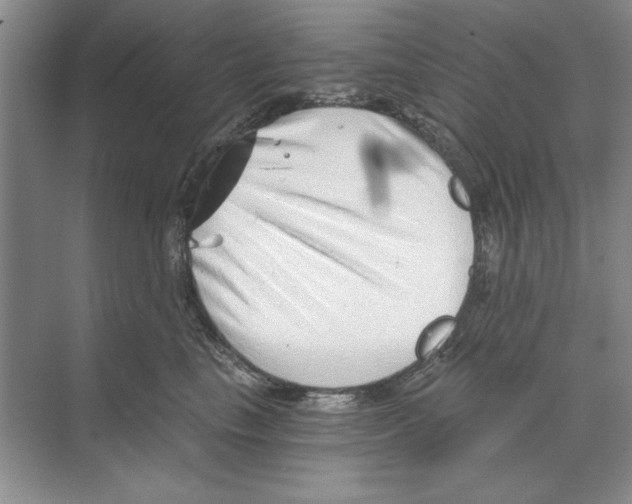 X0000068830665200606021644