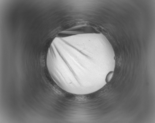 X0000068830666200606021644