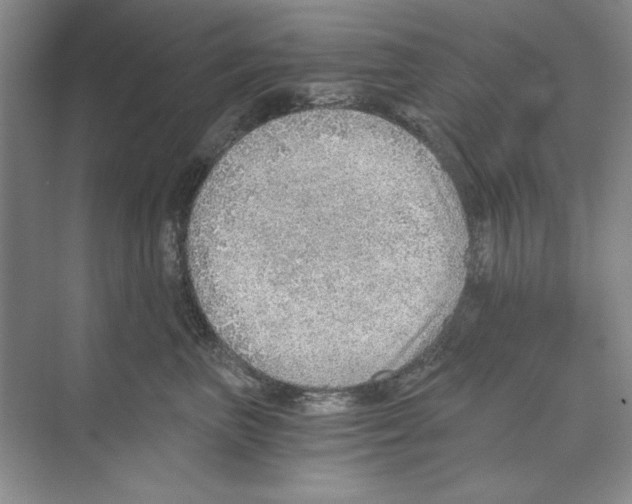 X0000068830667200606021644