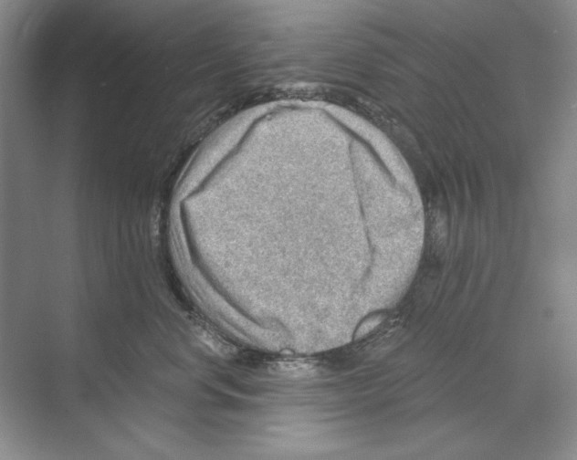 X0000068830668200606021644