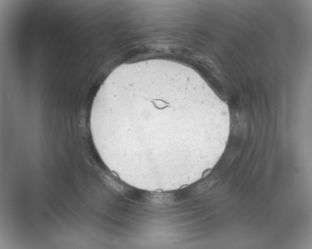 X0000068830670200606021644