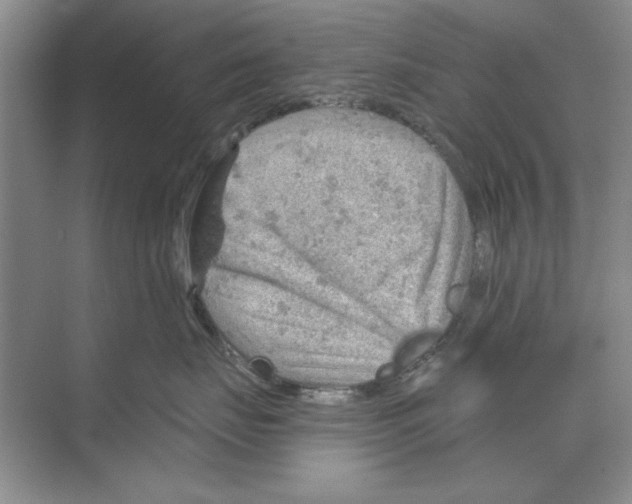 X0000068830671200606021644