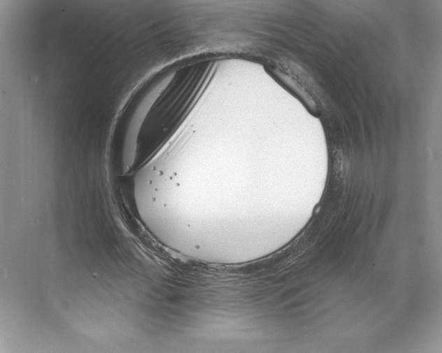 X0000068830676200606021643