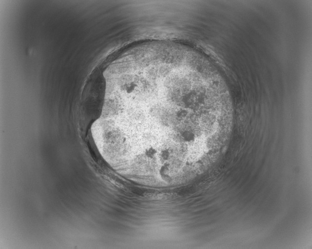 X0000068830679200606021643