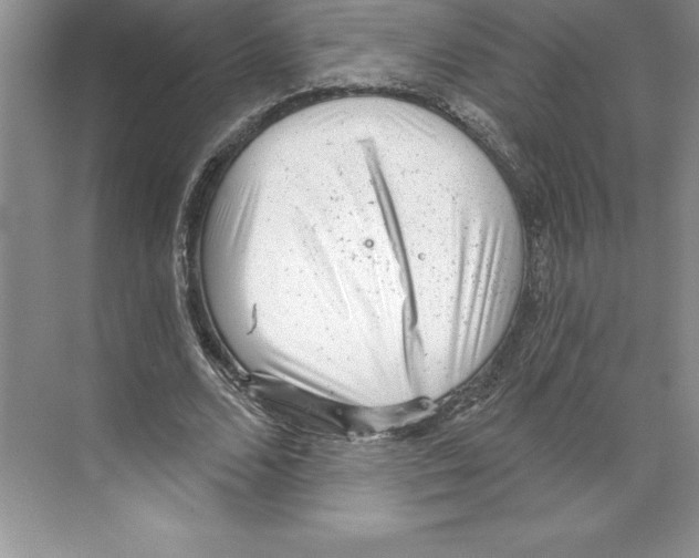 X0000068830680200606021643