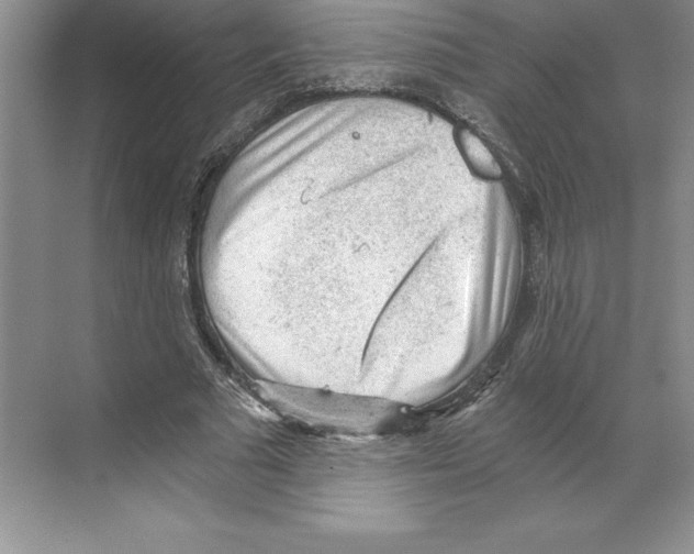 X0000068830681200606021643