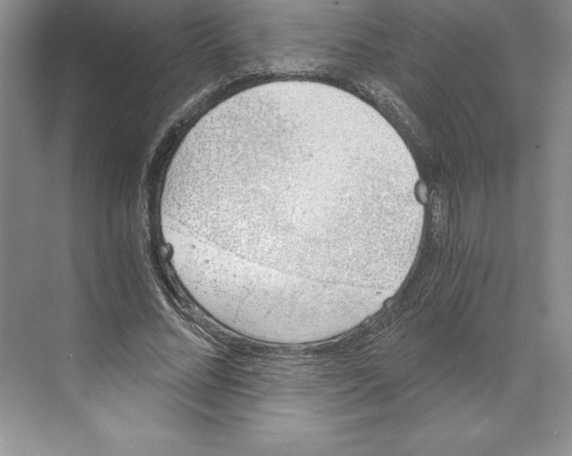 X0000068830684200606021643