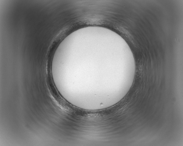 X0000068830686200606021643