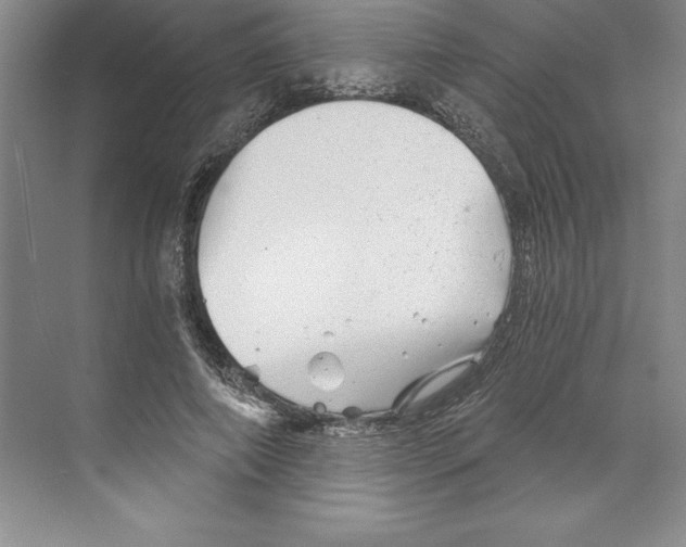 X0000068830690200606021643