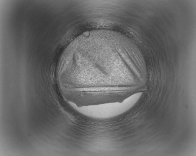 X0000068830695200606021643