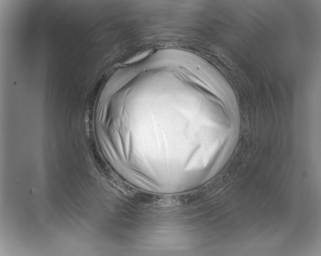 X0000068830696200606021643