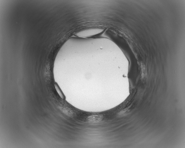 X0000068830700200606021643