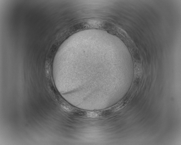 X0000068830701200606021643