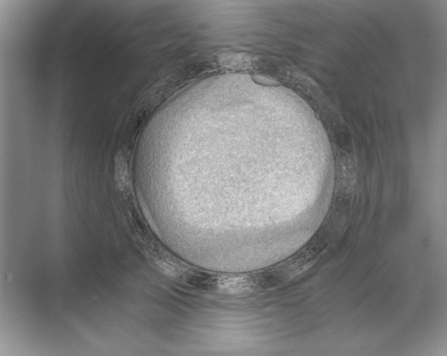 X0000068830705200606021643