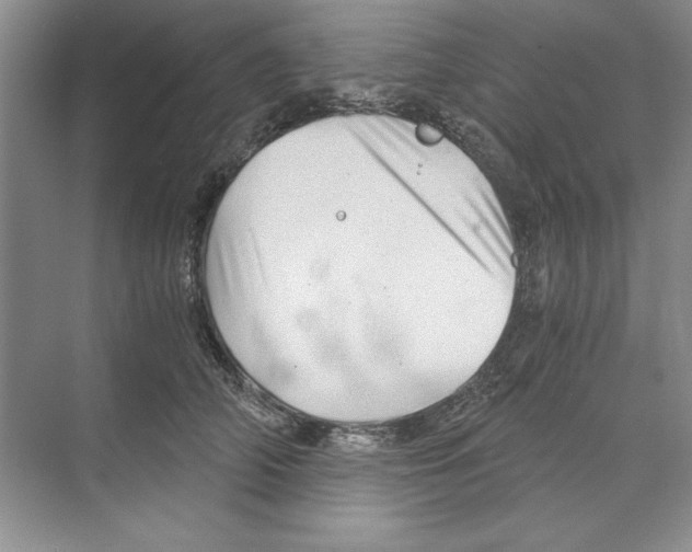 X0000068830706200606021643