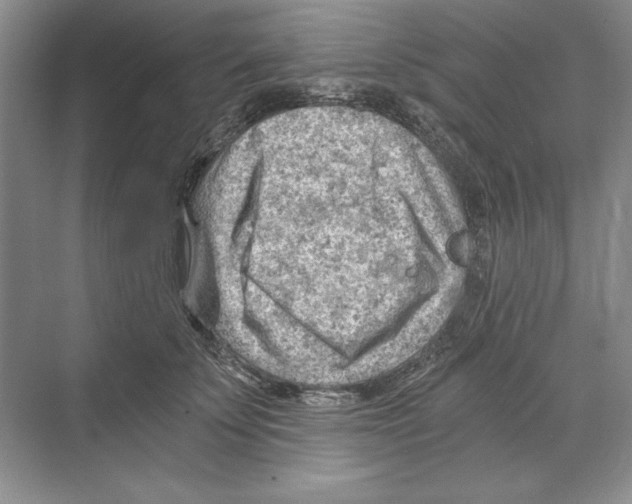 X0000068830707200606021643