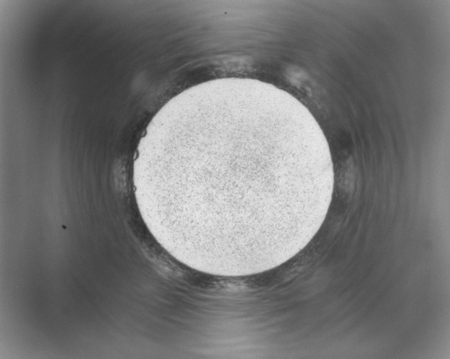 X0000068830715200606021643