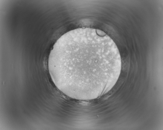 X0000068830718200606021643