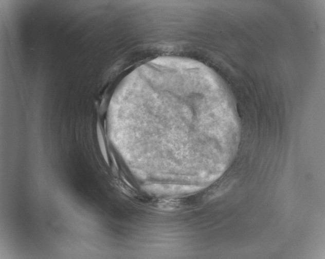 X0000068830720200606021643