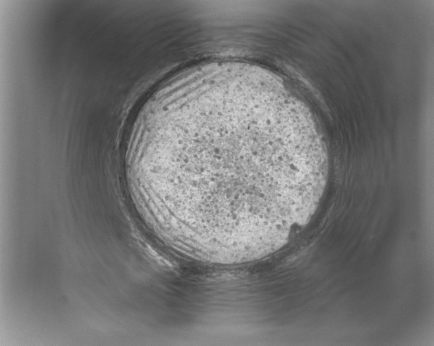 X0000068830721200606021642