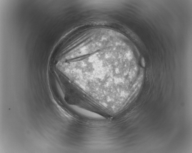 X0000068830722200606021642