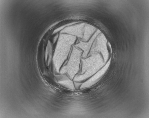 X0000068830724200606021642