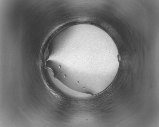 X0000068830728200606021642