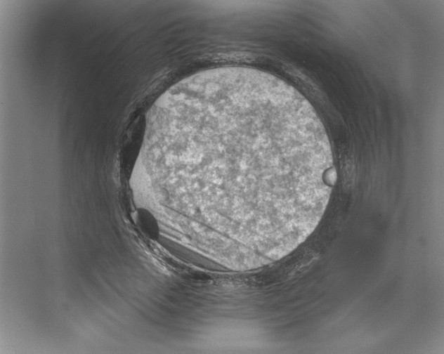 X0000068830729200606021642