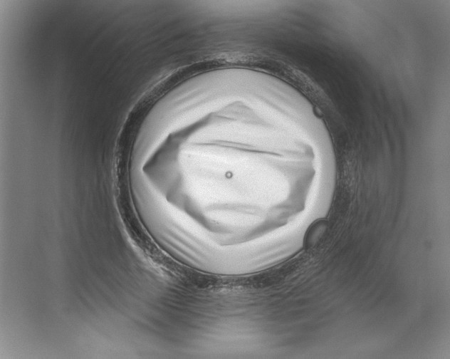 X0000068830730200606021642