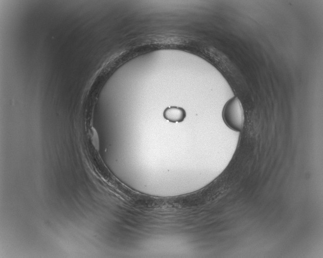 X0000068830731200606021642