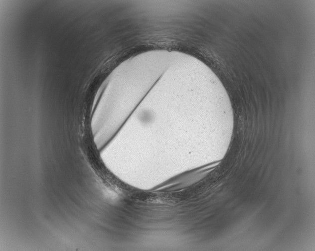 X0000068830739200606021642