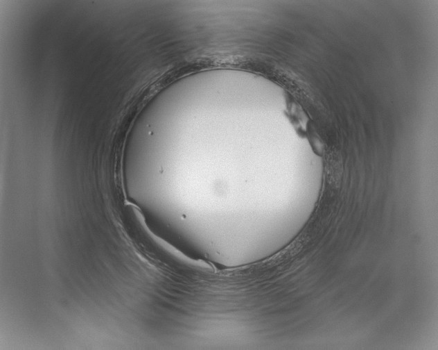 X0000068830740200606021642